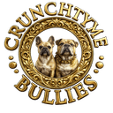 Crunchtyme Bullies